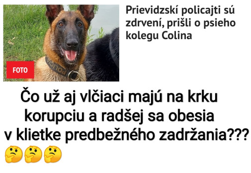 Psia korupcia