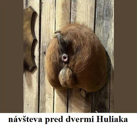 návšteva