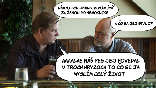Náš hafino