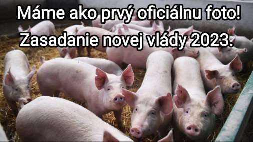 Vláda 2023
