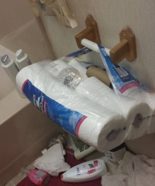 lenivosť: papier