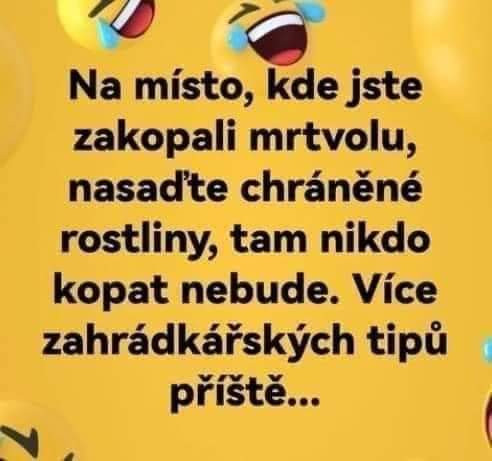 Poirot rad