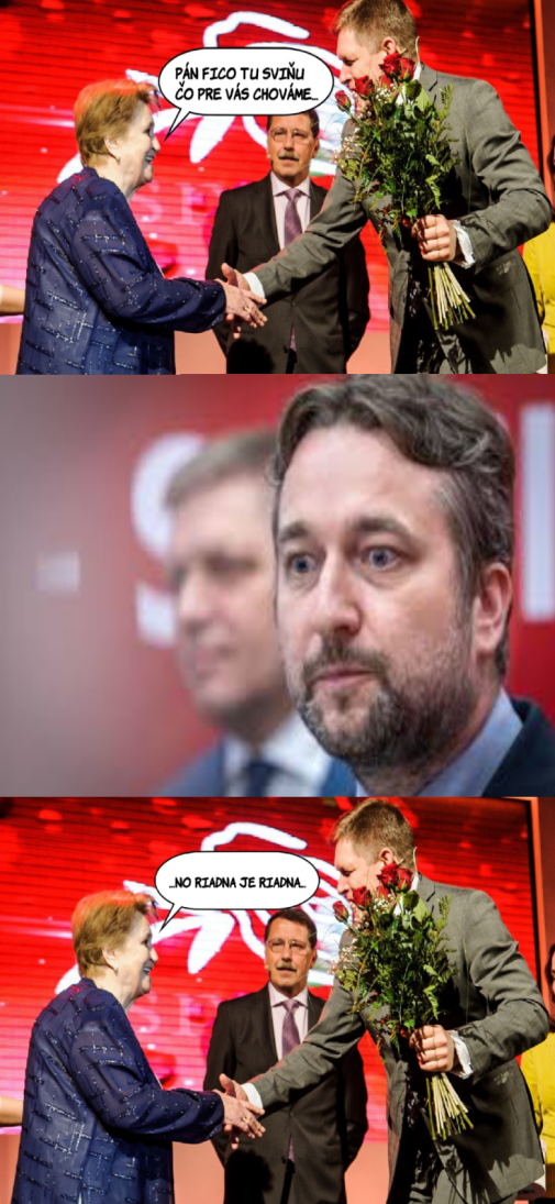Stredoslováci z lásky k Ficovi